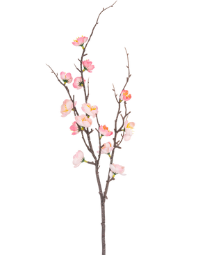La Branche Artificielle Prunus 78 cm rose possède une seule branche brun foncé avec des pousses plus petites, décorée de fleurs de cerisier roses et blanches et de bourgeons verts, sur un fond blanc uni.