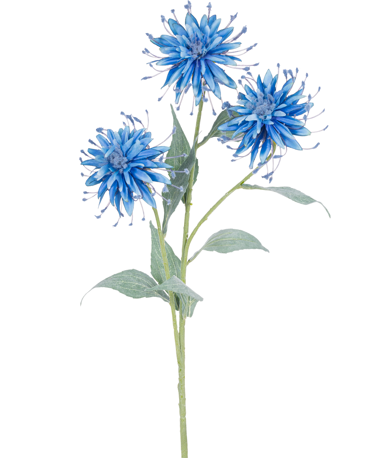 La fleur artificielle Scabiosa Japonica 70 cm bleue a une seule tige verte avec trois fleurs artificielles bleues et vaporeuses et plusieurs feuilles vertes, sur un fond blanc uni.