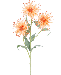 Fleur artificielle Scabiosa Japonica 70 cm pêche