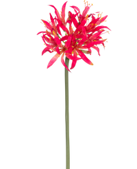 Fleur artificielle Nerine 70 cm fuchsia