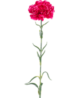 L'œillet de fleur artificielle 69 cm rose dur a un seul œillet rose vif avec des volants dans les pétales, une longue tige verte et des feuilles minces sur un fond blanc uni.