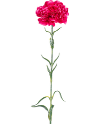Fleur artificielle Oeillet 69 cm rose vif