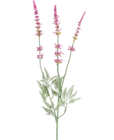 La Branche Artificielle Lavande 66 cm violette possède une tige unique avec trois épis hauts et élancés de petites fleurs violettes et plusieurs feuilles vertes dentelées sur fond blanc.