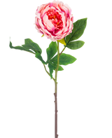 La Fleur Artificielle Pivoine 61 cm rose a une seule pivoine rose avec des feuilles vertes luxuriantes et une longue tige brune, isolée sur un fond blanc.