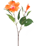 De Kunstbloem Hibiscus 64 cm oranje heeft een enkele steel met groene bladeren en twee oranje bloemen, één uitgebloeid en één in knopvorm, op een witte achtergrond.