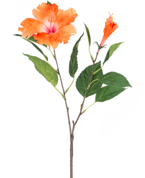 De Kunstbloem Hibiscus 64 cm oranje heeft een enkele steel met groene bladeren en twee oranje bloemen, één uitgebloeid en één in knopvorm, op een witte achtergrond.