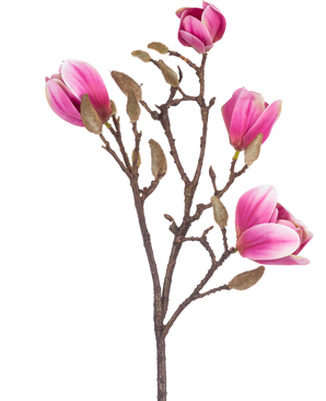 De Kunstbloem Magnolia 50 cm roze is een bruine kunstmagnolia tak met verschillende roze en witte bloemen en donzige knoppen, afgebeeld tegen een witte achtergrond.