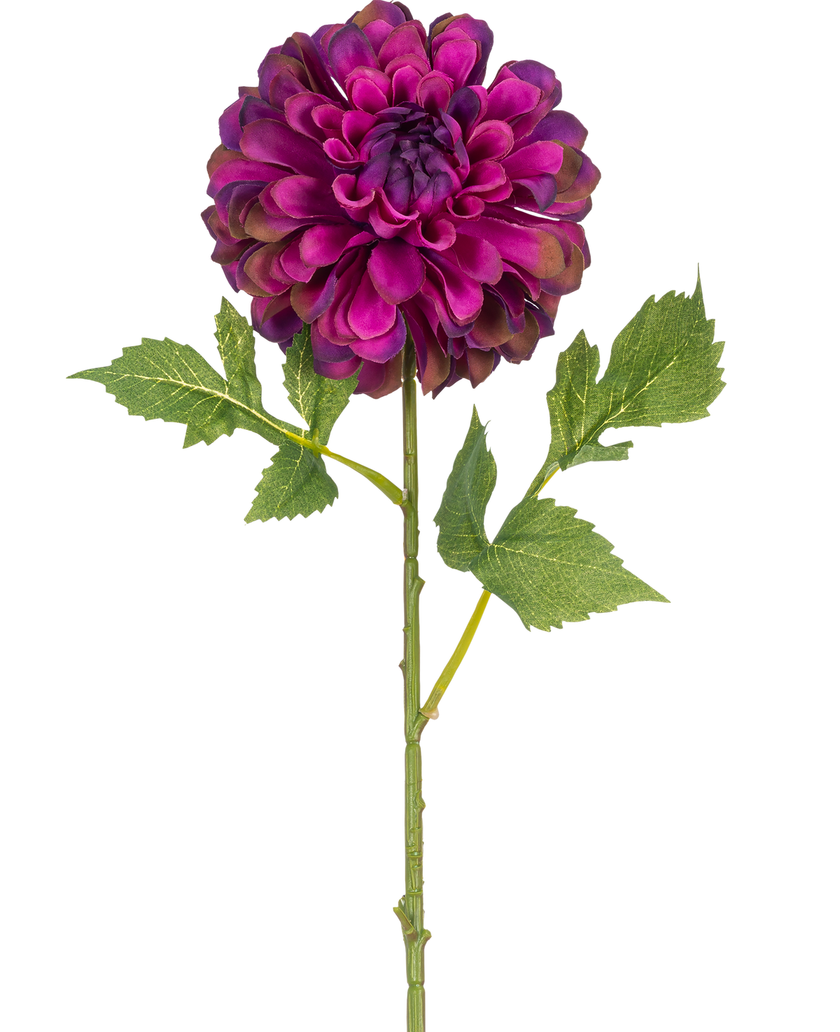 Une seule fleur artificielle Dahlia de 50 cm violette avec des pétales violets éclatants et des feuilles vertes, isolée sur un fond blanc.