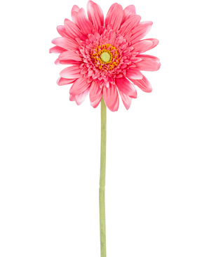Une fleur de Gerbera artificielle de 55 cm rose, avec un noyau jaune et de l'acier vert, isolée sur fond blanc.