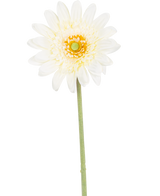 La fleur artificielle Gerbera 53 cm blanc a une seule fleur blanche ressemblant à une marguerite avec des pétales superposés, un cœur jaune-vert et une longue tige verte sur un fond blanc.