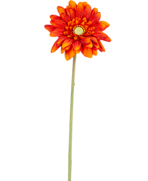 La Fleur Artificielle Gerbera mini 47 cm orange tendre est une marguerite artificielle aux pétales superposés, au cœur jaune et à la longue tige verte, isolée sur fond blanc.