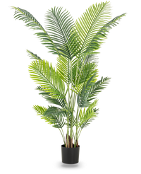 Plante artificielle Phoenix 180 cm