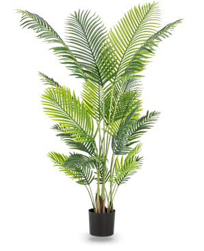 La plante artificielle Phoenix 180 cm est une grande plante artificielle avec des feuilles vertes luxuriantes dans un pot noir qui ajoute une atmosphère tropicale à n'importe quelle pièce. Sur la photo sur un fond blanc uni.