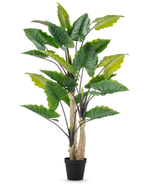La Plante Artificielle Alocasia 240 cm est une grande plante artificielle avec de grandes feuilles vertes et plusieurs tiges dans un pot noir, sur un fond uni blanc.