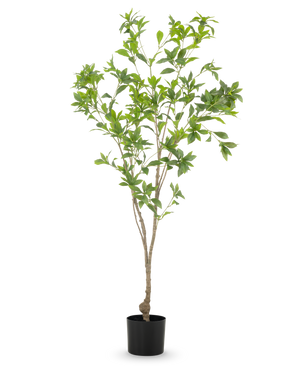 La plante artificielle Pieris Japonica 150 cm présente des branches fines et des feuilles vertes abondantes dans un simple pot noir, sur un fond blanc.