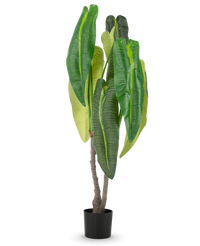 Plante artificielle Anthurium 150 cm