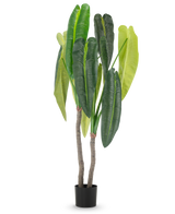 De Kunstplant Anthurium 180 cm heeft twee bruine stelen en grote, langwerpige groene bladeren in verschillende tinten, in een kleine zwarte pot tegen een witte achtergrond.