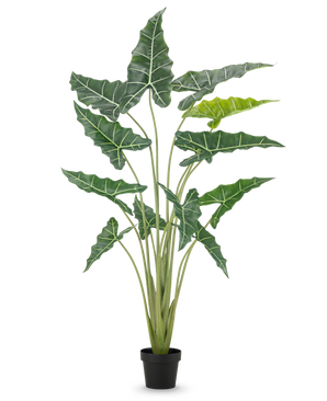 La Plante Artificielle Alocasia 160 cm est une plante artificielle en pot avec de longues tiges dressées et de grandes feuilles vert foncé avec des nervures blanches frappantes, sur un fond blanc uni.