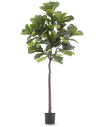 Plante artificielle Ficus Tobacco Plant Deluxe 215 cm