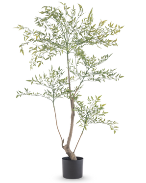 Le Ruscus artificiel 120 cm est une plante artificielle haute et élancée avec de longues branches fines avec de nombreuses petites feuilles vertes. Il se tient dans un simple pot noir et apporte une verdure réaliste à n'importe quelle pièce sans avoir besoin d'entretien.