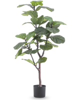La plante artificielle Ficus Tobacco Plant Deluxe 125 cm a de grandes feuilles vertes brillantes et une fine tige brune dans un pot noir, qui ajoute une atmosphère africaine en tant que plante d'intérieur verte sur fond blanc.