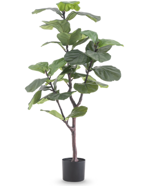 La plante artificielle Ficus Tobacco Plant Deluxe 125 cm a de grandes feuilles vertes brillantes et une fine tige brune dans un pot noir, qui ajoute une atmosphère africaine en tant que plante d'intérieur verte sur fond blanc.