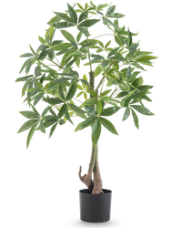 Plante artificielle Pachira 120 cm
