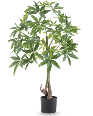 De Kunstplant Pachira 120 cm heeft een gevlochten stam en weelderige groene bladeren in een zwarte pot, tegen een effen witte achtergrond.