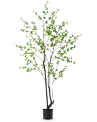 Plante artificielle Enkianthus 210 cm