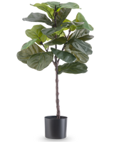 La plante artificielle Ficus Tobacco Plant Deluxe 90 cm est une grande plante d'intérieur artificielle avec de grandes feuilles vertes brillantes dans un pot noir, représentée sur un fond blanc uni.