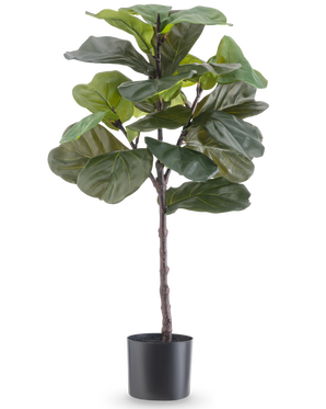 La plante artificielle Ficus Tobacco Plant Deluxe 90 cm est une grande plante d'intérieur artificielle avec de grandes feuilles vertes brillantes dans un pot noir, représentée sur un fond blanc uni.
