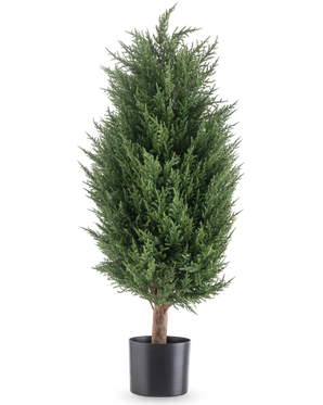 De Kunstplant Conifeer deluxe UV 90 cm is een weelderige, groene kunstgroenblijvende plant met dicht gebladerte in een zwarte pot - een onderhoudsvrije plant die in elke omgeving levendig blijft.