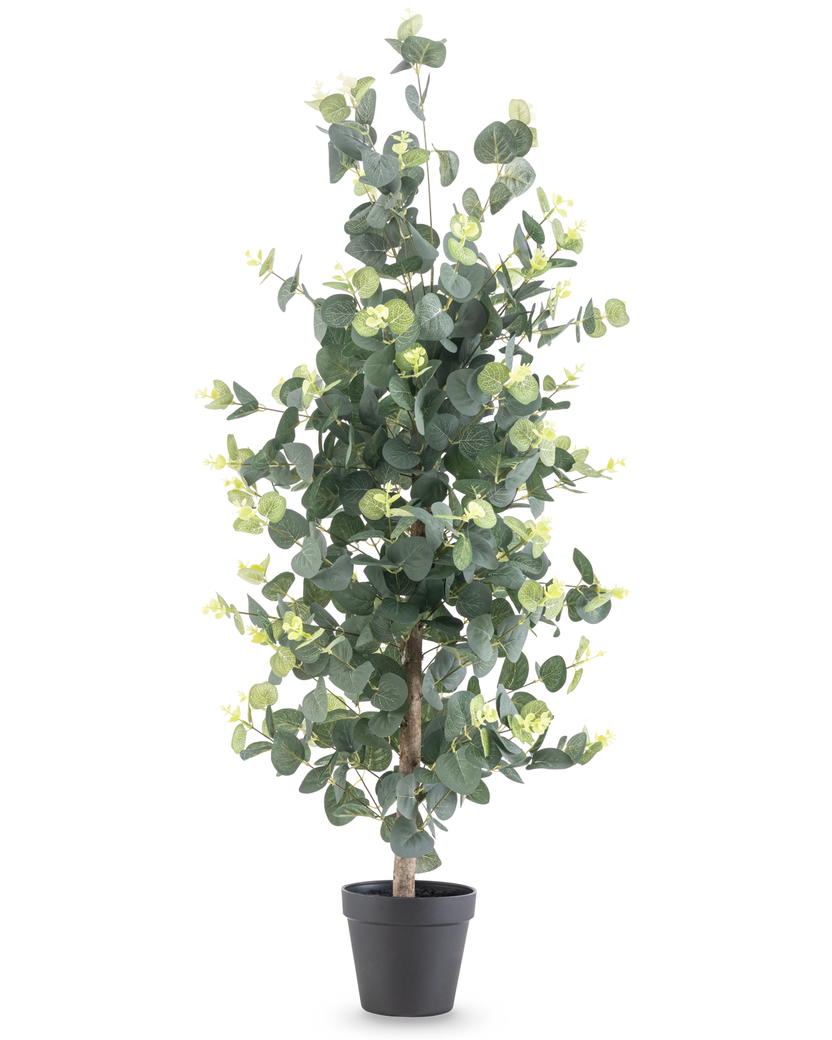 La plante artificielle Eucalyptus 91 cm présente de hautes feuilles rondes vertes réalistes et de petits bourgeons jaunes dans un pot noir, sur un fond blanc uni.
