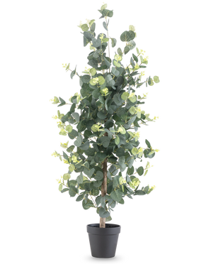 Plante artificielle Eucalyptus 91 cm