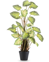 La plante artificielle Alocasia Odora 90 cm possède de grandes feuilles vertes en forme de cœur et de multiples tiges dans un simple pot noir, sur un fond blanc uni.