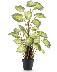 Plante artificielle Alocasia Odora 90 cm