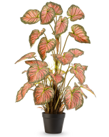 La Plante Artificielle Caladium 90 cm rose est une plante en pot aux grandes feuilles en forme de coeur aux bords verts et aux coeurs roses, présentée debout dans un pot noir sur fond blanc.