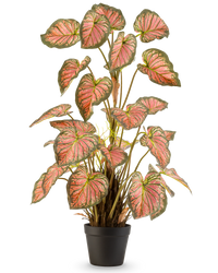 Plante artificielle Caladium 90 cm rose