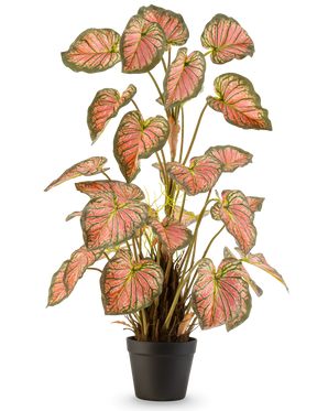 La Plante Artificielle Caladium 90 cm rose est une plante en pot aux grandes feuilles en forme de coeur aux bords verts et aux coeurs roses, présentée debout dans un pot noir sur fond blanc.