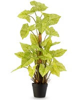 La plante artificielle Trapa Bispinosa 90 cm blanche est une plante artificielle en pot avec des feuilles vert clair vibrantes et des veines pâles frappantes, disposées dans un pot noir compact et représentée sur un fond blanc uni.