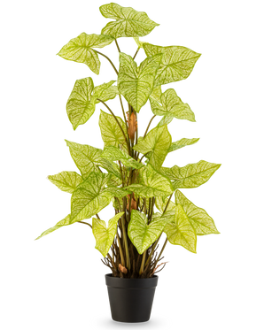 La plante artificielle Trapa Bispinosa 90 cm blanche est une plante artificielle en pot avec des feuilles vert clair vibrantes et des veines pâles frappantes, disposées dans un pot noir compact et représentée sur un fond blanc uni.