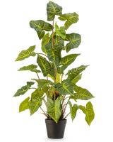 La Plante Artificielle Trapa Bispinosa 90 cm vert est une plante en pot avec de grandes feuilles vertes en forme de cœur veinées de jaune, dans un pot noir sur un fond uni clair.