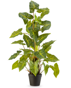 La Plante Artificielle Trapa Bispinosa 90 cm vert est une plante en pot avec de grandes feuilles vertes en forme de cœur veinées de jaune, dans un pot noir sur un fond uni clair.