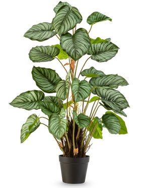 La Feuille de Pommier Artificielle 90 cm est une plante en pot avec de grandes feuilles vertes ovales accentuées par des rayures vert clair et blanches, sur un fond blanc uni.