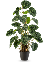 Une plante artificielle Anthurium de 90 cm verte avec des feuilles vertes luxuriantes en forme de cœur et des veines blanches frappantes, sur un fond blanc uni.
