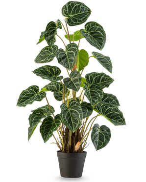 Une plante artificielle Anthurium de 90 cm verte avec des feuilles vertes luxuriantes en forme de cœur et des veines blanches frappantes, sur un fond blanc uni.