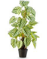 La Plante Artificielle Anthurium 90 cm vert est une plante artificielle en pot avec de grandes feuilles ovales rayées vert-blanc, debout dans un pot noir sur un fond uni blanc.