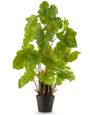 La plante artificielle Melon Leaf 90 cm est une grande plante artificielle avec de larges feuilles vertes brillantes et plusieurs tiges dressées, qui se dresse dans un simple pot noir sur un fond blanc uni.