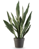 La plante artificielle Sansevieria Zeylanica 71 cm a de longues feuilles vertes dressées avec des rayures horizontales foncées, dans un simple pot gris foncé sur un fond blanc uni.