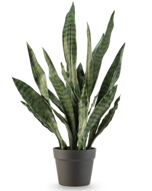 La plante artificielle Sansevieria Zeylanica 71 cm a de longues feuilles vertes dressées avec des rayures horizontales foncées, dans un simple pot gris foncé sur un fond blanc uni.